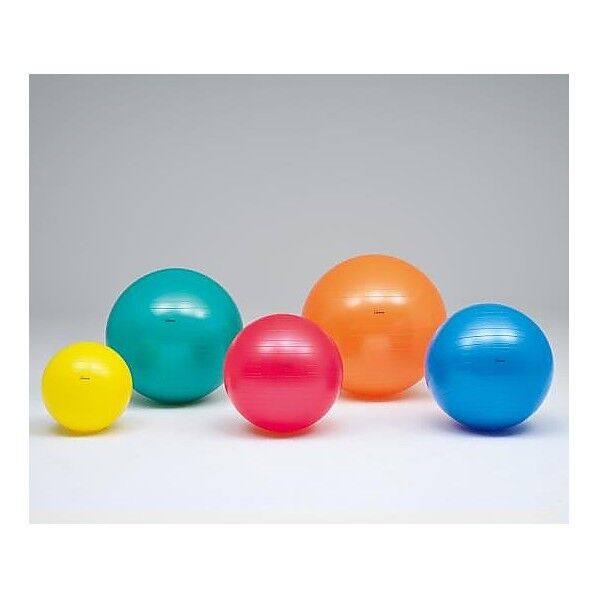 ボディーボール