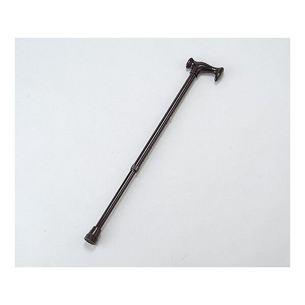 Fグリップステッキ