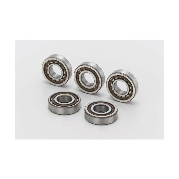 NTNセールスジャパン 円筒ころ軸受 NJ形 内輪径80mm 外輪径140mm 幅26mm NJ216EAT2X 1個