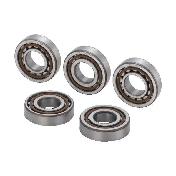 NTNセールスジャパン 円筒ころ軸受 NJ形（すきま大タイプ）内輪径65mm 外輪径140mm 幅33mm NJ313EAT2XC3 1個