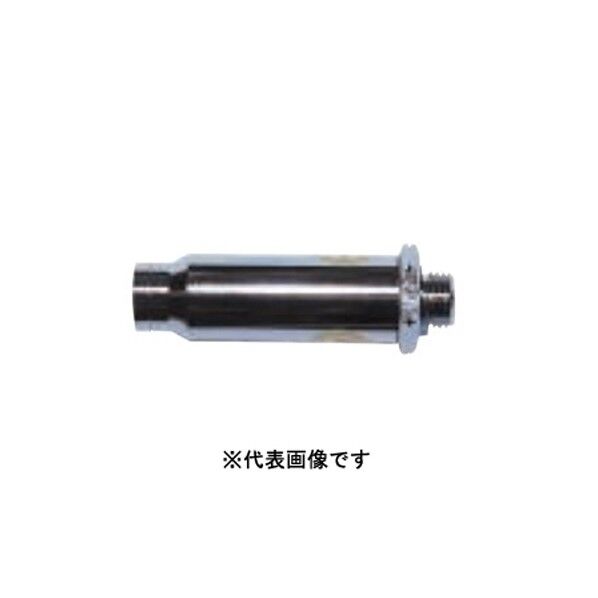 BIGM ベストクリーナー 10 1個