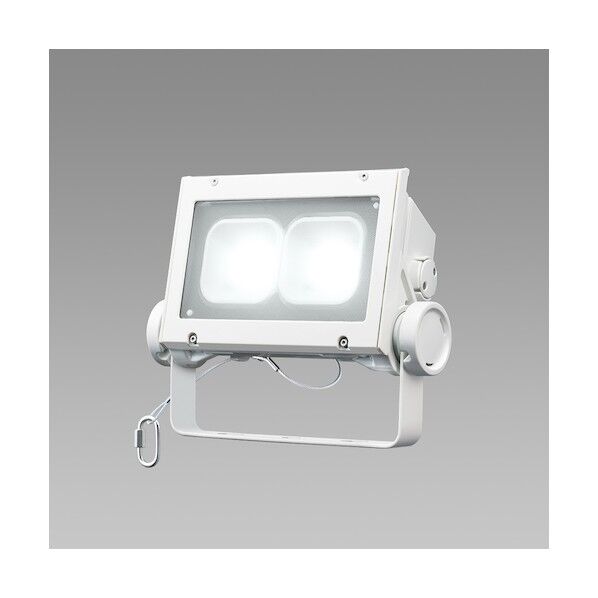ホタルクス LED投光器 電源一体型 昼白色 DTE13H40W/NP-4 1台