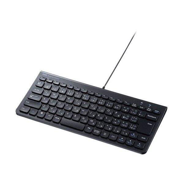 USB Type-Cスリムキーボード SKB-SL32CBK 1セット