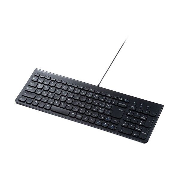  USB Type-Cスリムキーボード SKB-SL31CBK 1セット