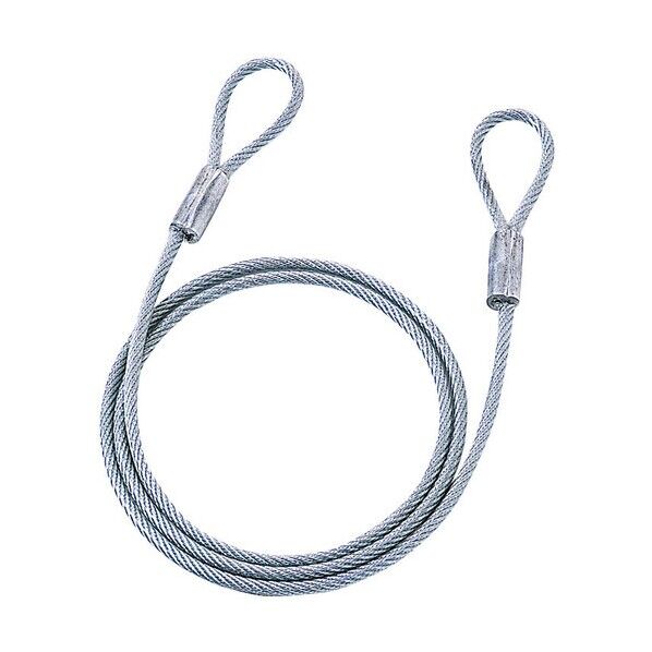 eセキュリティ(1.5M6.0mm) SLE-4WN 1セット