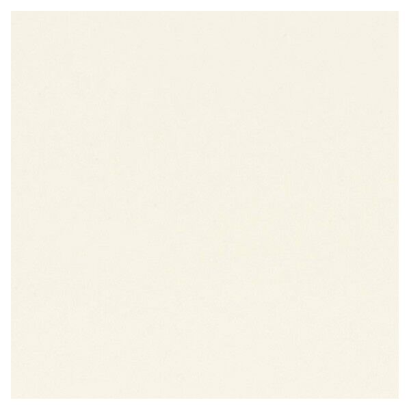 タフプレーンノンワックス2.0 2.0mm厚/182cm巾 TPV501C 1m