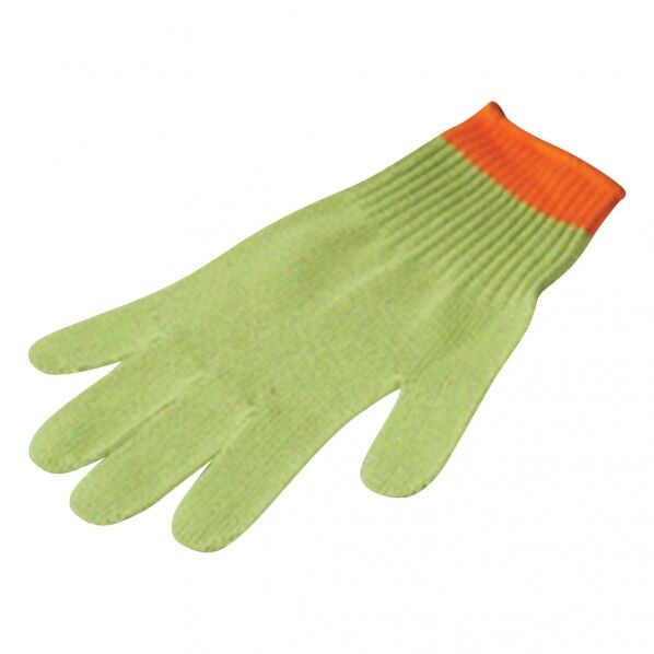 テクノーラグローブ