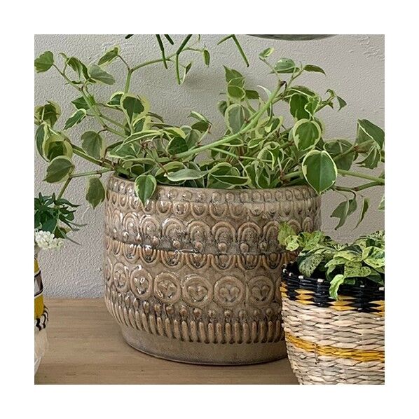 ブルーミングヴィル 82047428グレイズフラワーポット