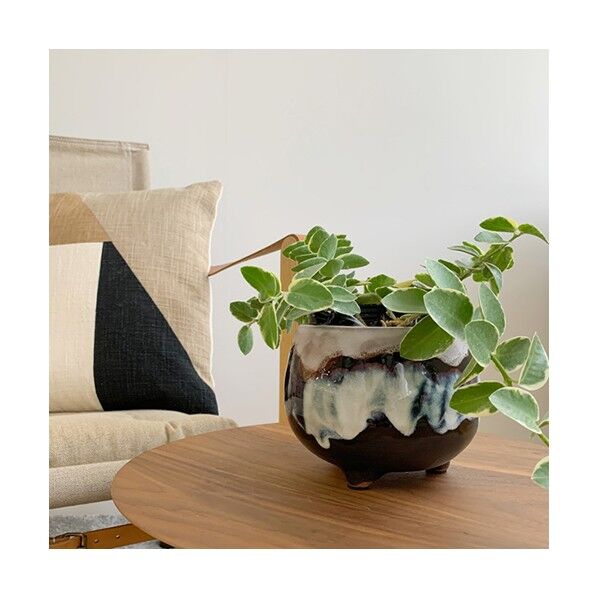 ブルーミングヴィル 82047415ブジャンカデコフラワーポット