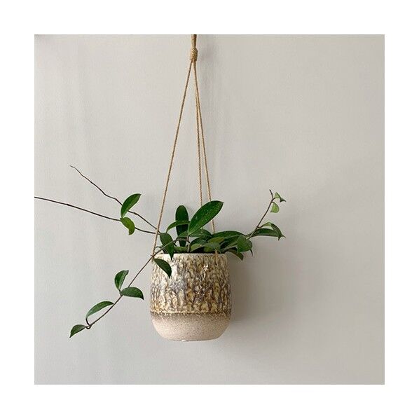 ブルーミングヴィル 82047920レザンハンギングポット