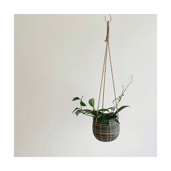 ブルーミングヴィル 82052531マンディハンギングポット