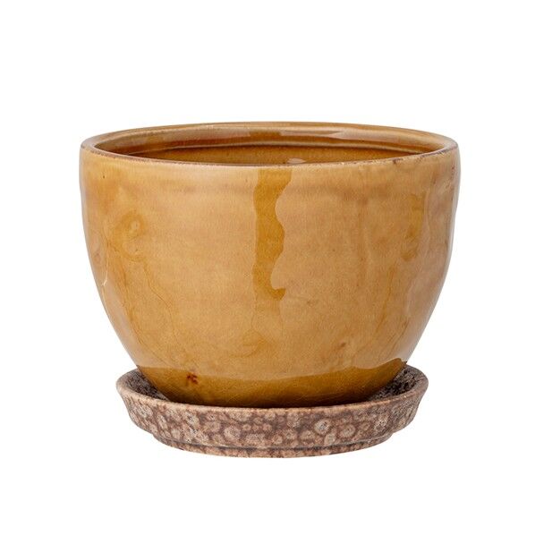 ブルーミングヴィル 82052461ベトエイポット