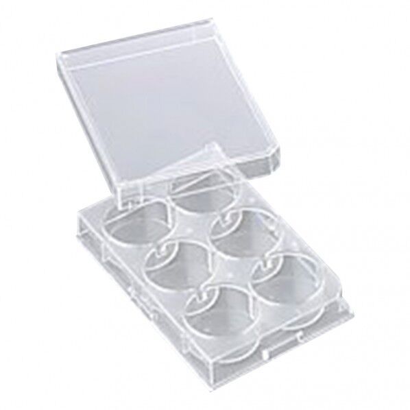 微生物培養用プレート 6穴(平底) 1-8355-01 1枚