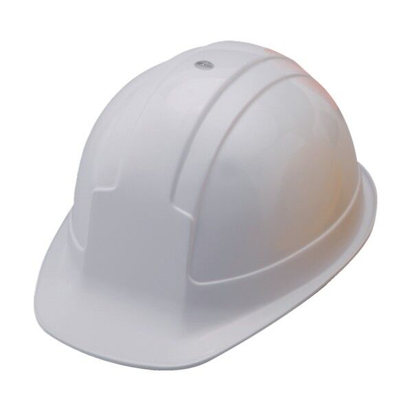 ヘルメットNo.300