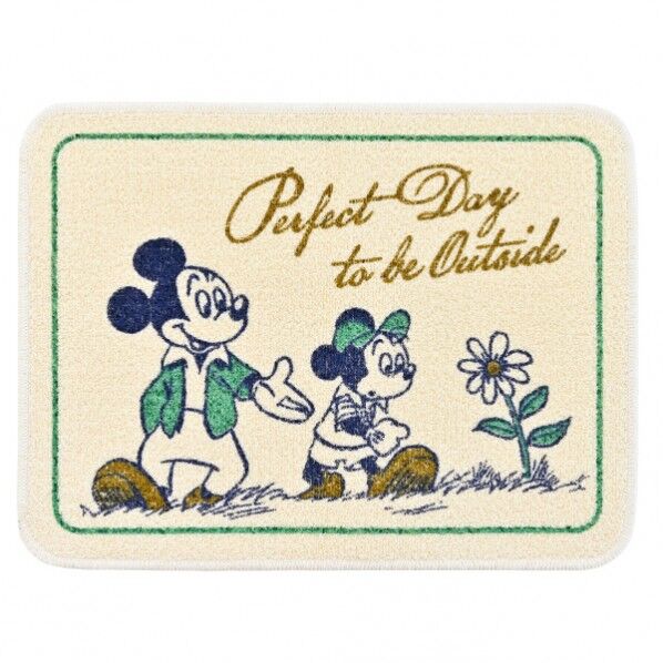 テﾞィスﾞニー再生糸マット 45x60 NV