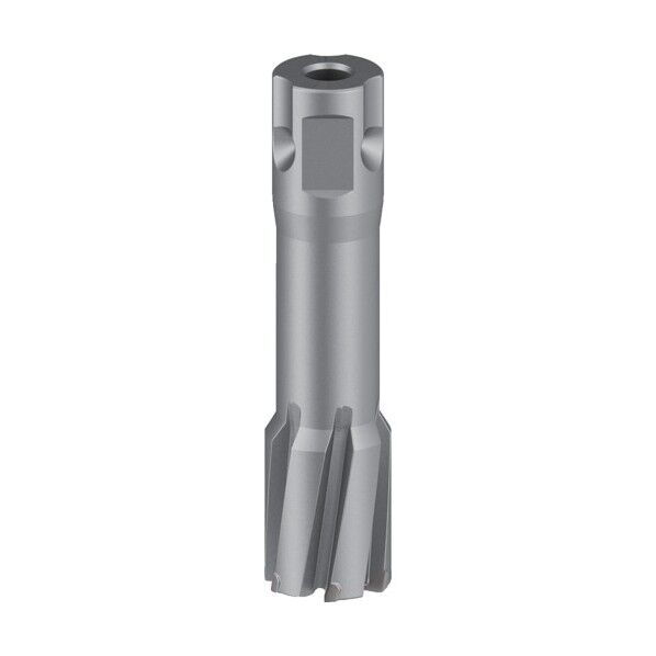 ボッシュ株式会社 (Bosch Corporation) 磁気ボール盤用超硬カッター φ22mm×50mm 22×93×22mm 2608577499 1個...