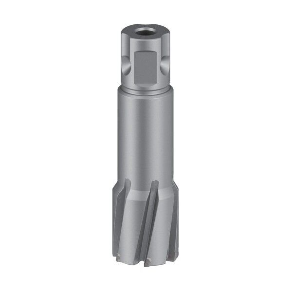 ボッシュ株式会社 (Bosch Corporation) 磁気ボール盤用超硬カッター φ26mm×50mm 26×93×26mm 2608577501 1個...