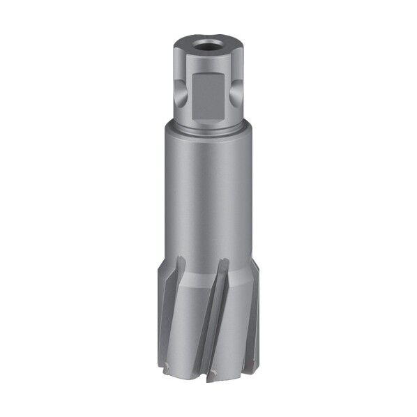 ボッシュ株式会社 (Bosch Corporation) 磁気ボール盤用超硬カッター φ30mm×50mm 30×93×30mm 2608577503 1個...