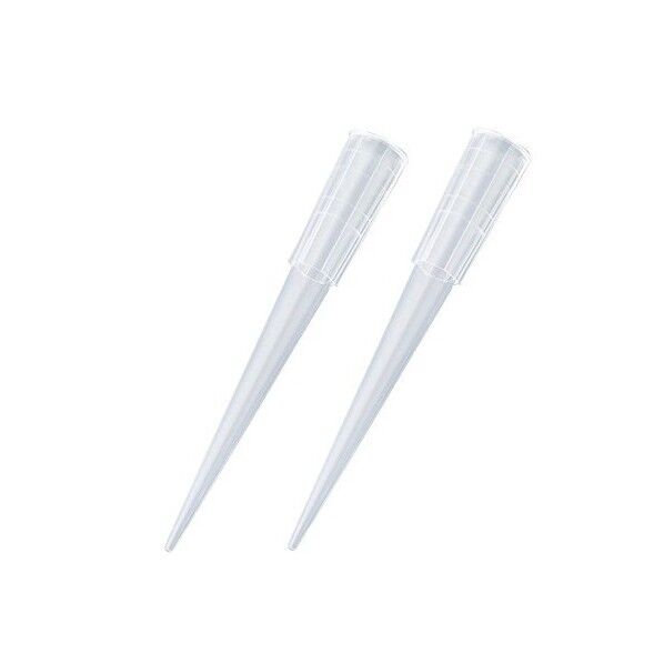 フレンドチップ