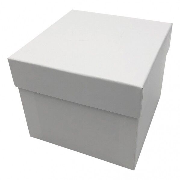 遠沈管用フリーズボックス 145×145×122mm 2-3962-01 10組