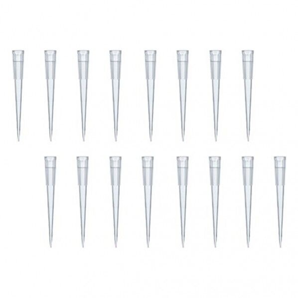 フレンドチップ バルク