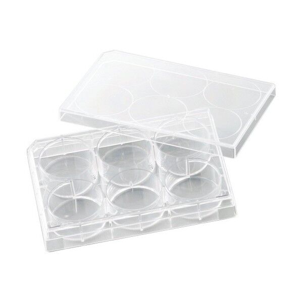 細胞培養プレートVTC-P6 2-8588-01 1点