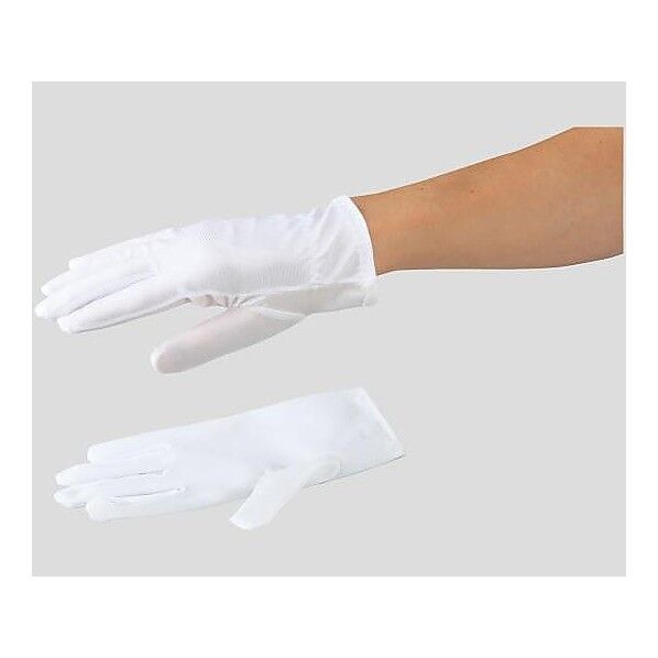 アズピュア 防塵手袋 ポリエステル BPH-U XL 12双 2-8604-04 1