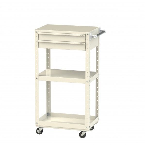 スペシャルワゴン移動式 キャビネット浅型2段×1個アイボリー W6CSH-S-IV 1点
