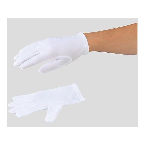 アズピュア 防塵手袋 ウーリーナイロン BNW-N 12双 L 3-1720-01 1