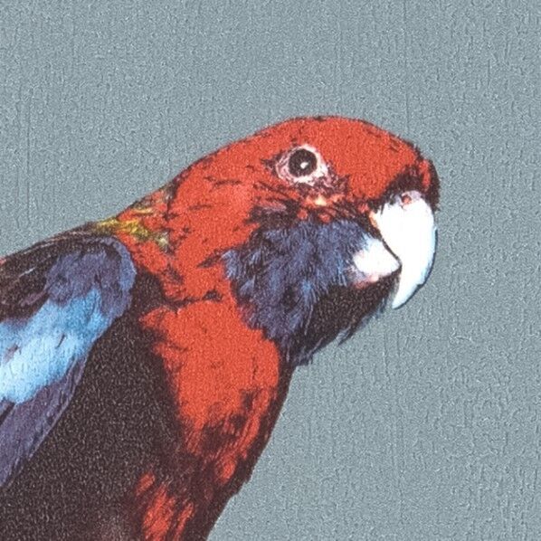 壁紙 リザーブ パターン 国立科学博物館 鳥類