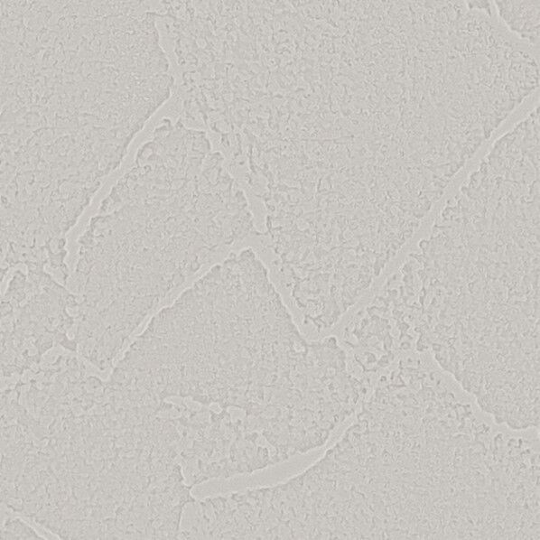 抗アレル壁紙 リザーブ