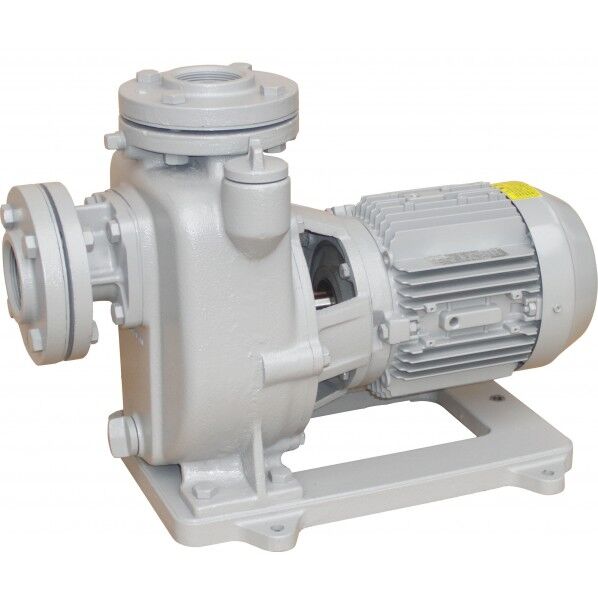 陸上ポンプ（鋳鉄製）