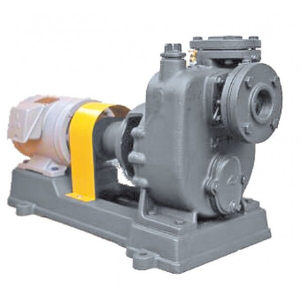 陸上ポンプ(鋳鉄製)