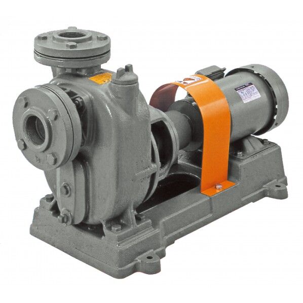 陸上ポンプ(鋳鉄製) O-6GE Mナシ 50HZ 1PC