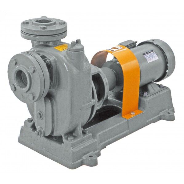 陸上ポンプ(鋳鉄製)