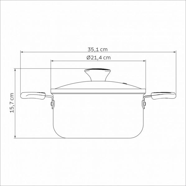 リーフ 両手鍋 20cm