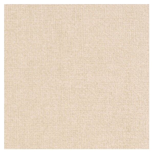 タフベーシックプラス(プレーン) 2.0mm厚/182cm巾 TBA5401 1m