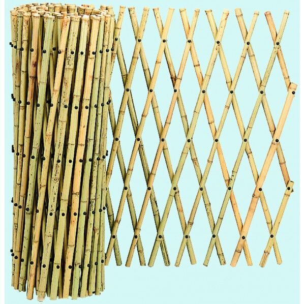 57038 セミロング竹垣君 1個