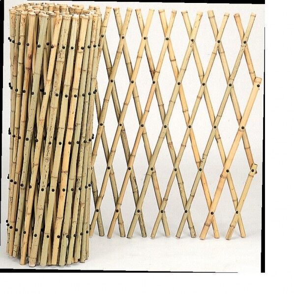 #57040 ロンクﾞ竹垣君