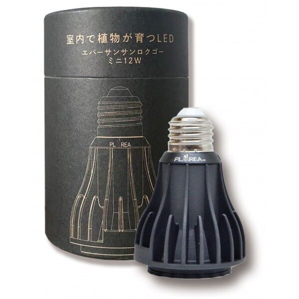 Ever Sun 365 mini 12W BLACK