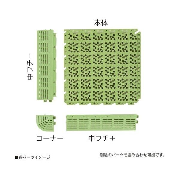 スーパーチェッカー 中フチ