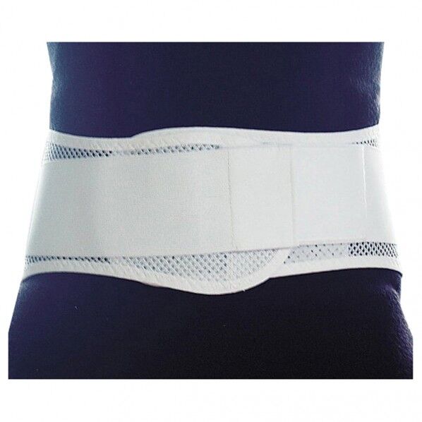 腰部固定帯[フィットライト] S 8-1639-01 1