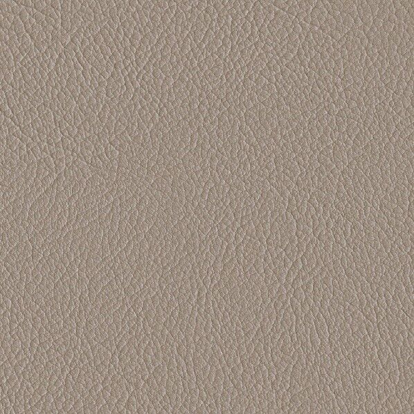 ファニシングレザー 椅子張りレザー オールマイティー 巾125cm L-6541 1m単位