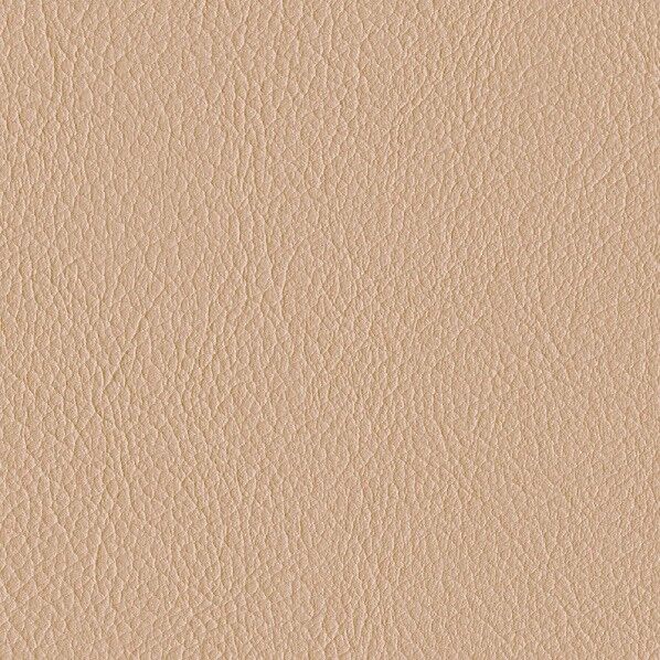 ファニシングレザー 椅子張りレザー オールマイティー 巾125cm L-6561 1m単位