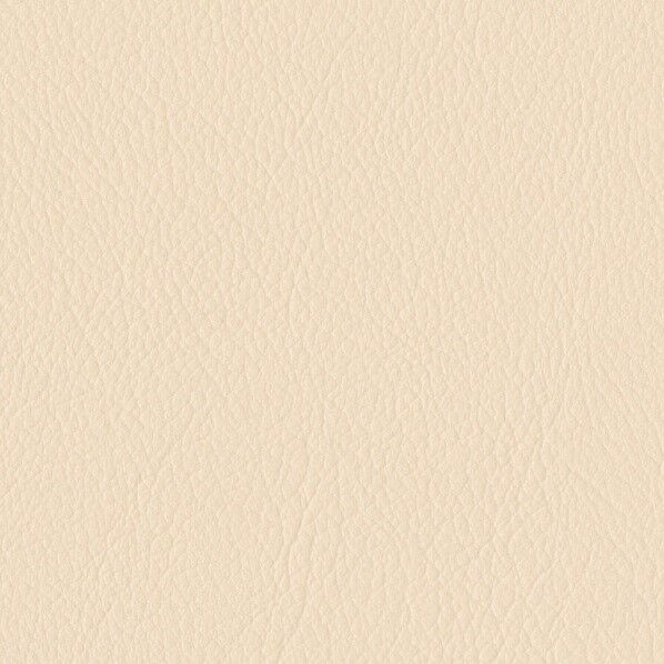 ファニシングレザー 椅子張りレザー オールマイティー 巾125cm L-6549 1m単位