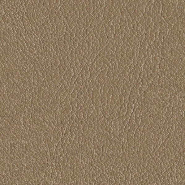 ファニシングレザー 椅子張りレザー オールマイティー 巾125cm L-6547 1m単位