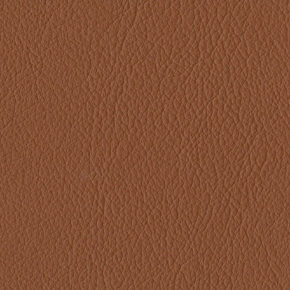 ファニシングレザー 椅子張りレザー オールマイティー 巾125cm L-6554 1m単位