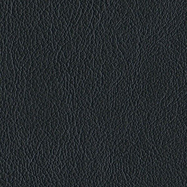 ファニシングレザー 椅子張りレザー オールマイティー 巾125cm L-6558 1m単位