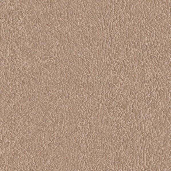 ファニシングレザー 椅子張りレザー オールマイティー 巾125cm L-6536 1m単位