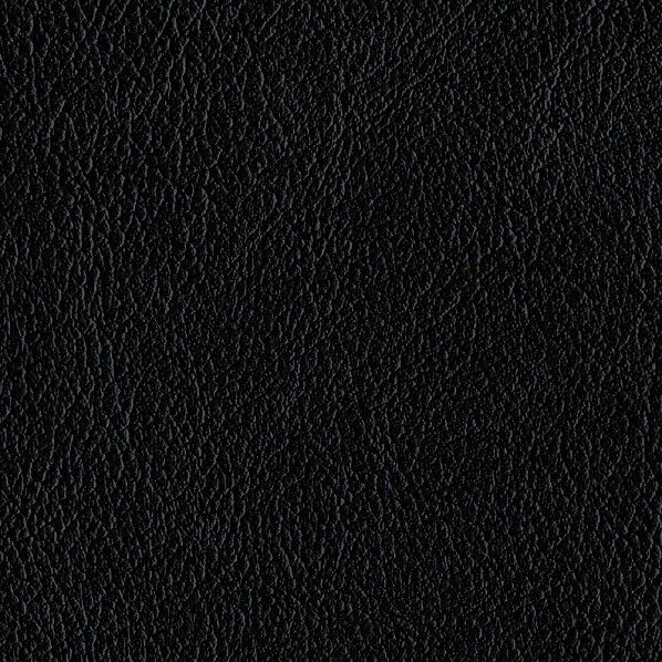 ファニシングレザー 椅子張りレザー オールマイティー 巾125cm L-6562 1m単位